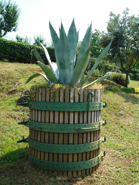 Agriturismo La Vigna ซานจีมิญญาโน ภายนอก รูปภาพ